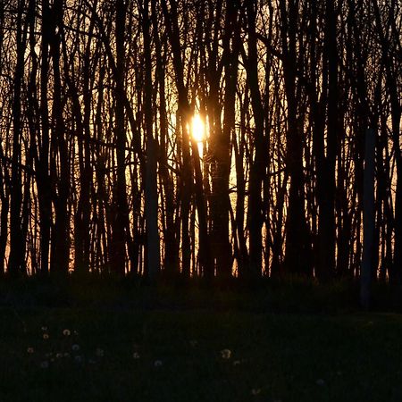 Bike&Night Διαμέρισμα Baracska Εξωτερικό φωτογραφία